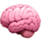 Aphasia & Cognitive Communication Disorders
